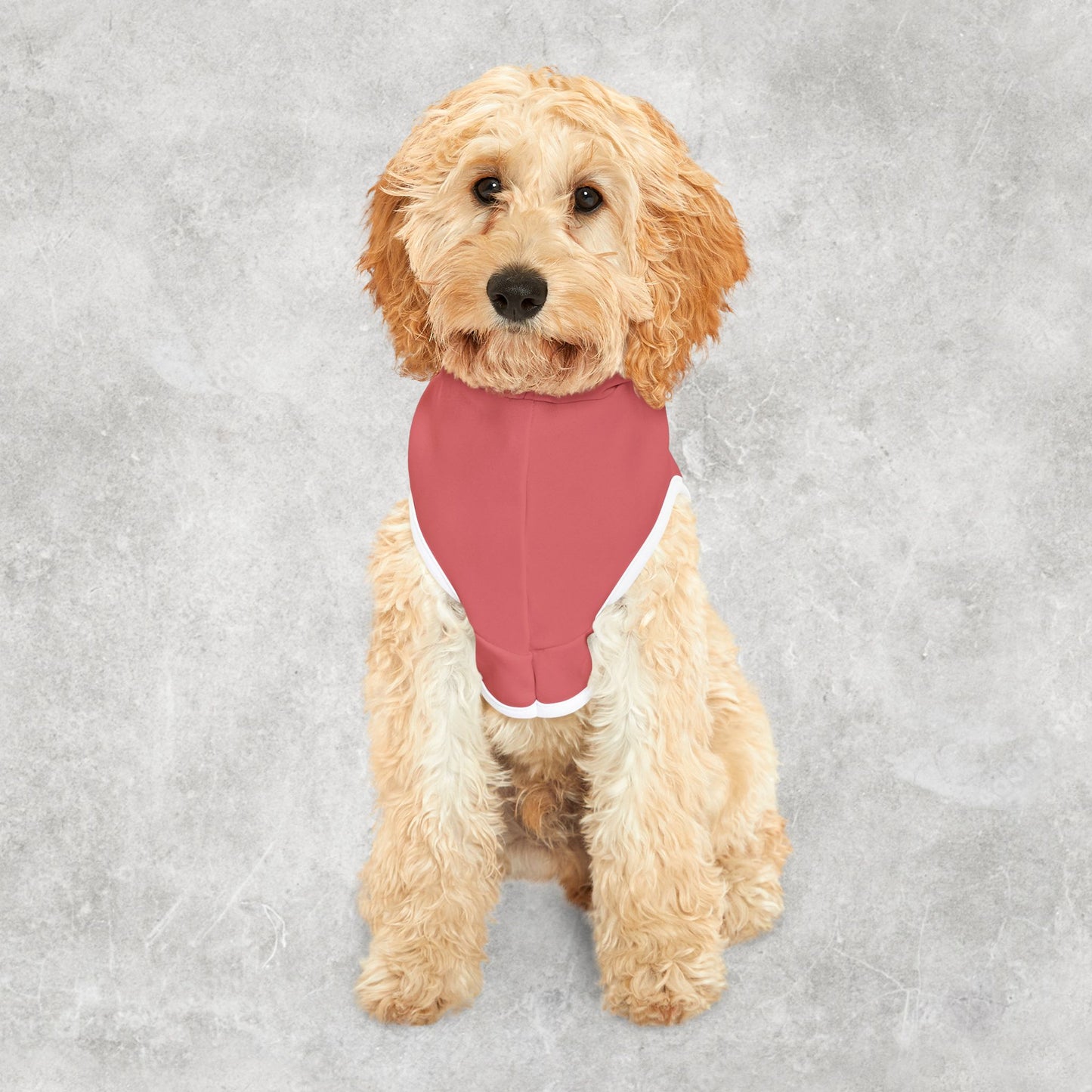Dogstracted | Pet Hoodie