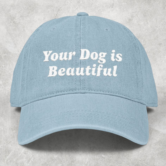 Your Dog Is Beautiful | Hat