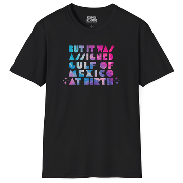 Assigned Gulf of Mexico | Tee - 0