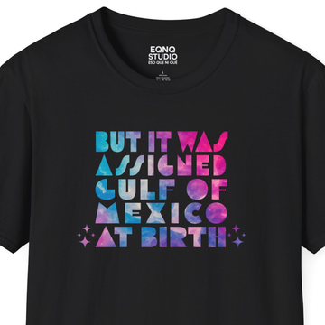 Assigned Gulf of Mexico | Tee