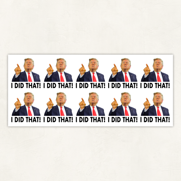 I Did That | Sticker Sheet