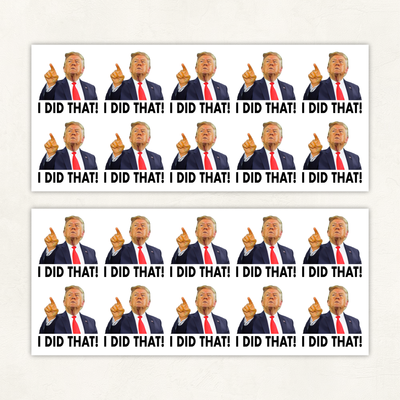 I Did That | Sticker Sheet - 0